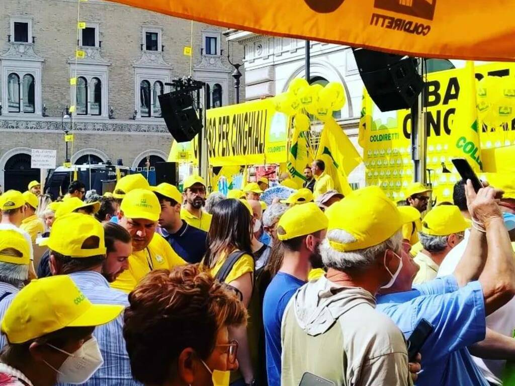 manifestazione roma coldiretti cinghiali