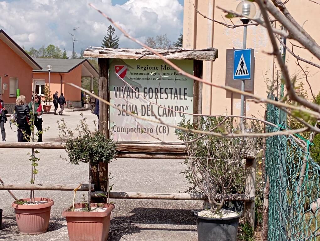 Serra del Campo Campochiaro agricoltura disabili 