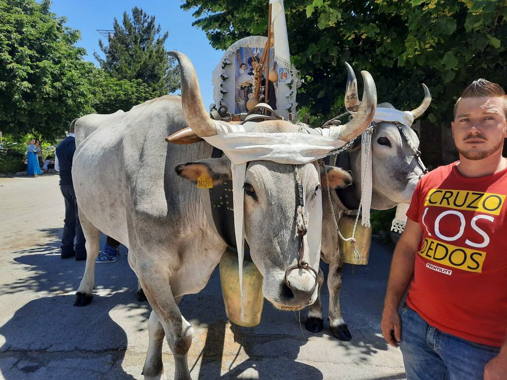 La festa per Sant'Antonio