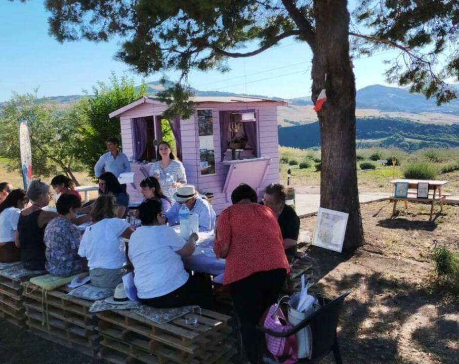 Laboratorio di acquerello nel campo di lavanda