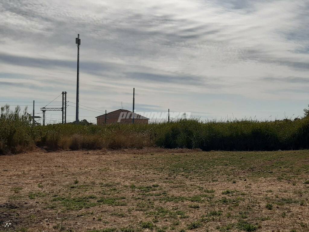 Stazione petacciato giungla vegetazione 