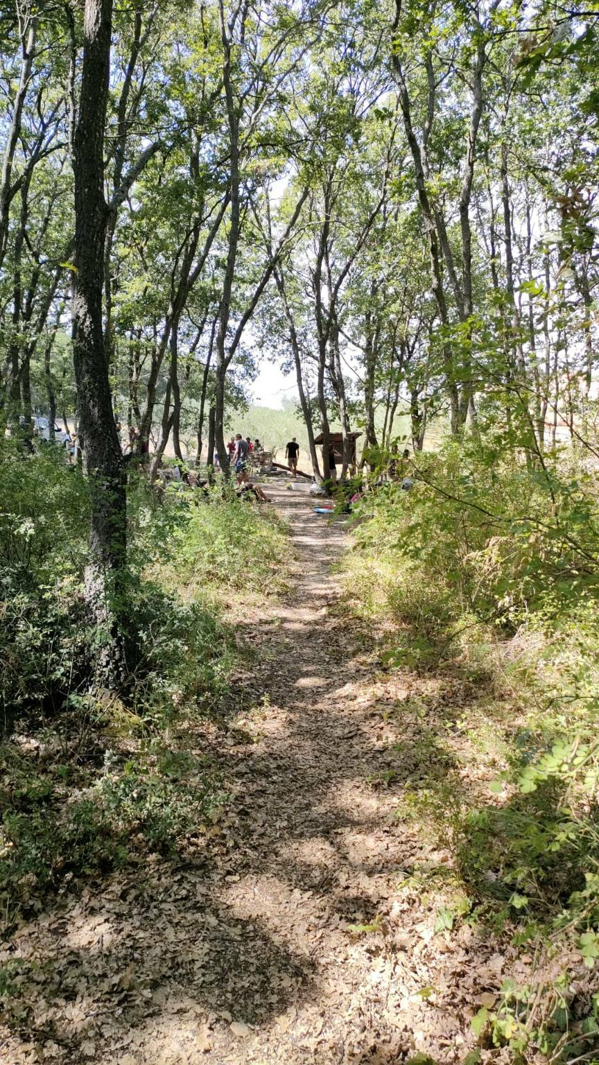 bosco corundoli escursione scampagnata ferragosto