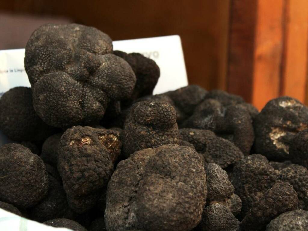 tartufo nero san pietro avellana