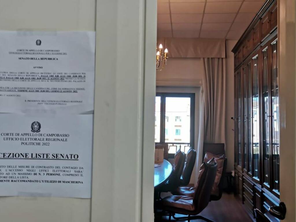 corte d appello liste elettorali senato