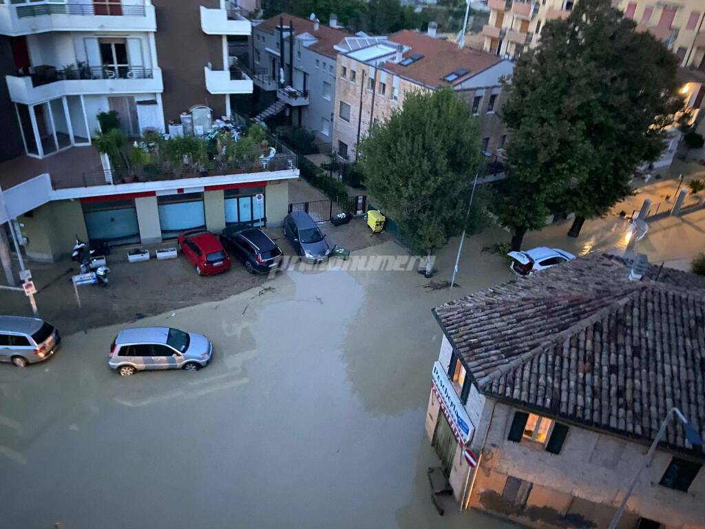 Senigallia alluvione