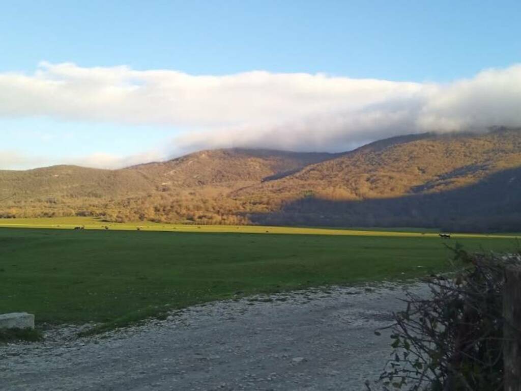 pascoli aperti a Pantano della Zittola