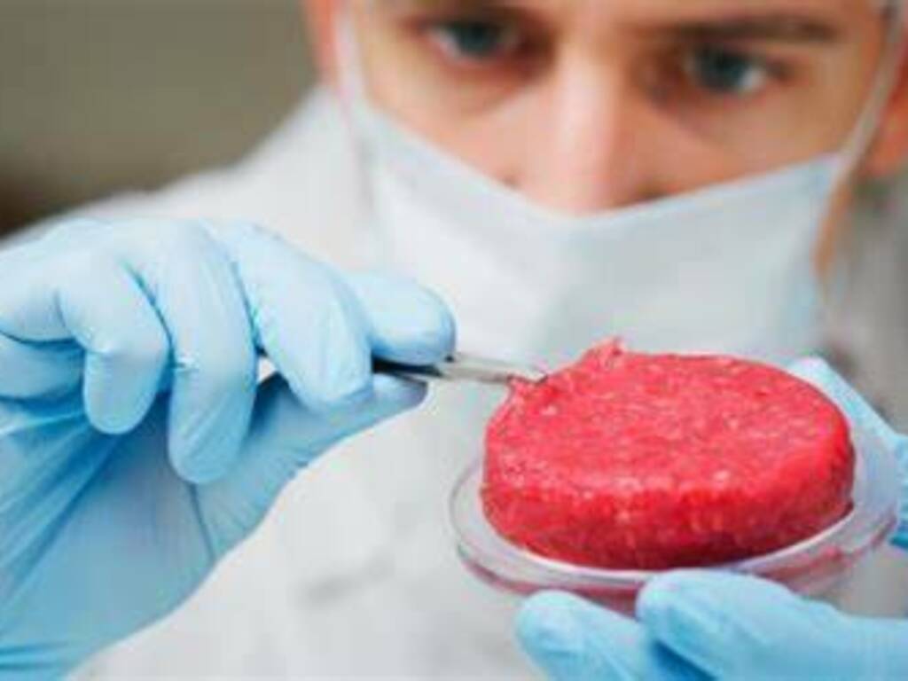 carne sintetica davvero così male?