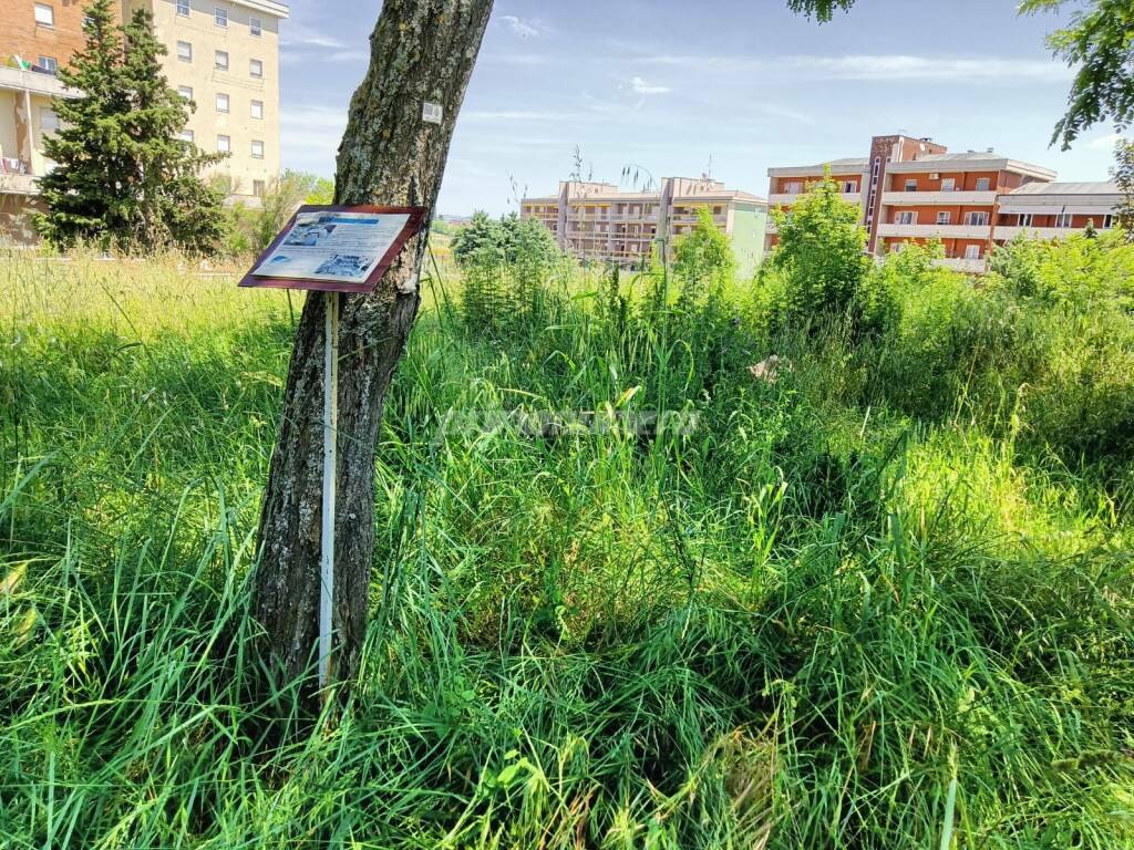 parco madonnina colle dell'orso