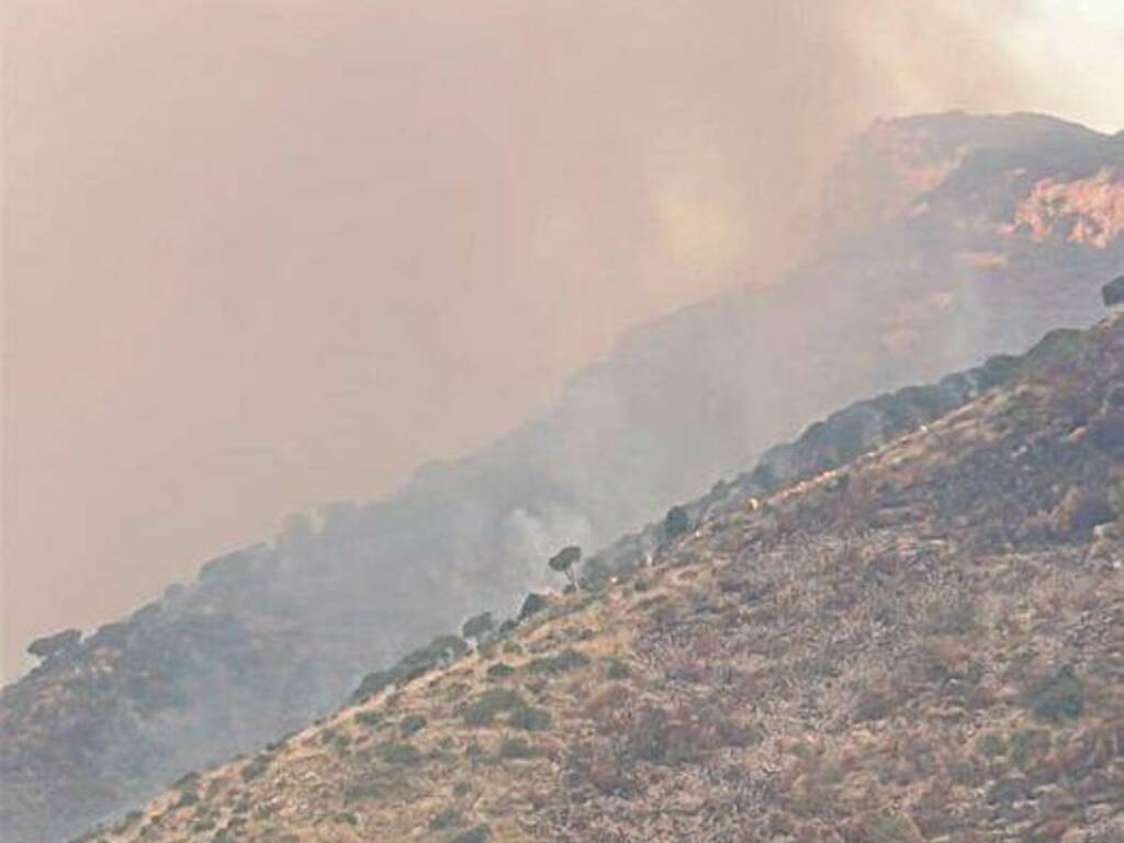 venafro incendio mattina fumo