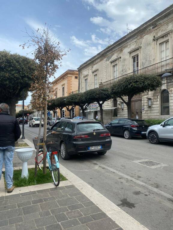 alberi secchi corso umberto piazza monumento immondizia