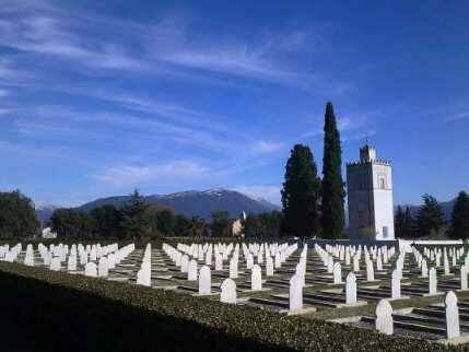 Cimitero francese Venafro 